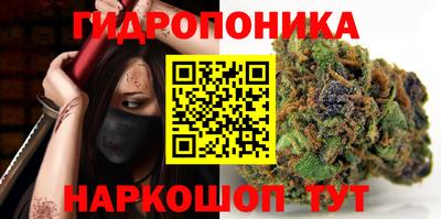 молекула духа Гагарин